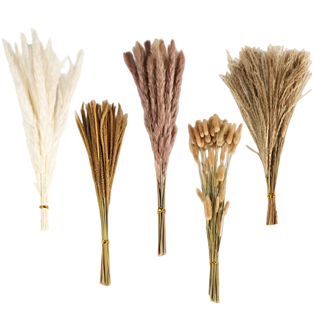 Jesienny vintage'owy bukiet z  – Dried Flower Bulk recenzja i cena