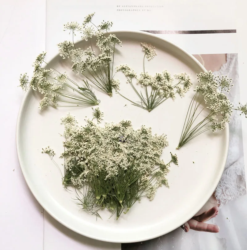 5-7cm/12szt, śnieg małe kwiaty – Dried Flower Bulk recenzja i cena