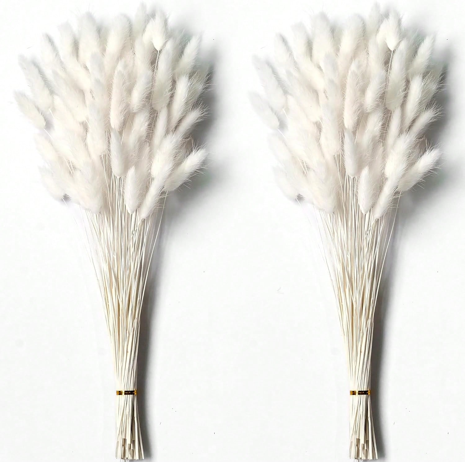 120 SZT. Suszone Kwiaty Pampas – Dried Flower Bulk recenzja i cena